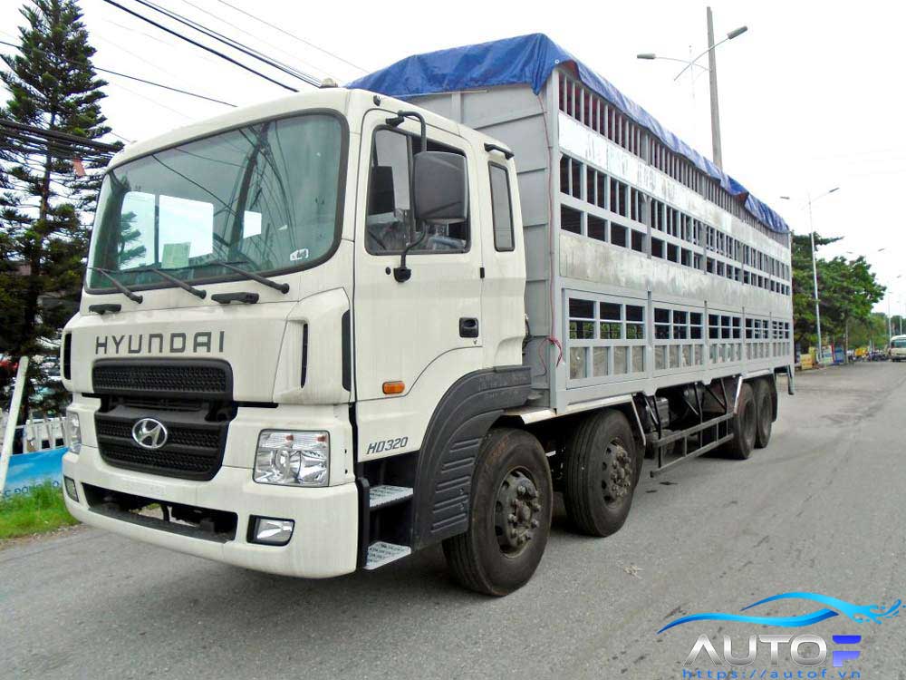 3 mẫu xe tải thùng Hyundai chuyên dùng để chở gia súc, heo lợn